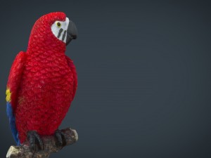 red parrot Modelo 3D