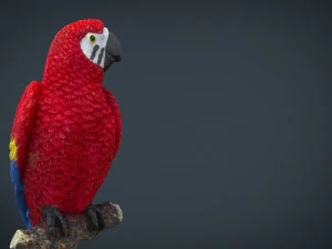 red parrot 3D Model