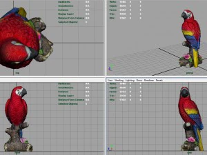red parrot 3D Model