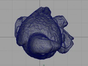 red parrot 3D Model