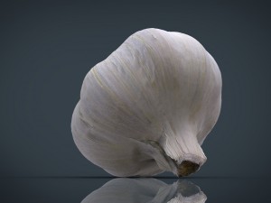 realistic garlic Modelo 3D