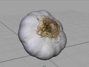 realistic garlic Modelo 3D