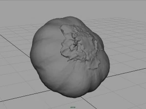 aglio realistico Modello 3D