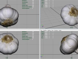 aglio realistico Modello 3D
