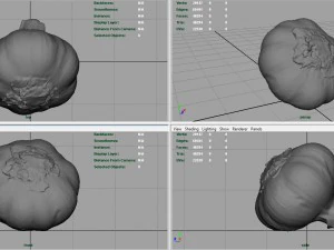 aglio realistico Modello 3D