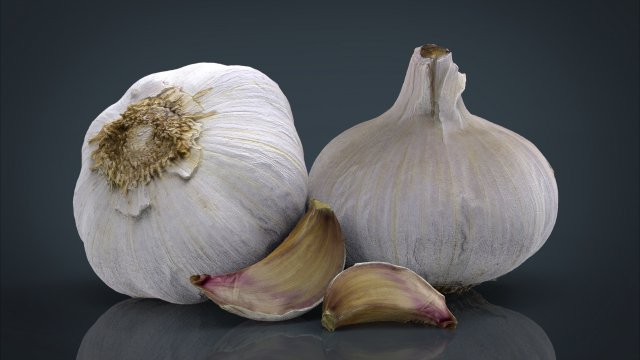 garlic and garlic clove Modèle 3D .c4d .max .obj .3ds .fbx .stl .blend 