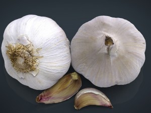 garlic and garlic clove Modèle 3D