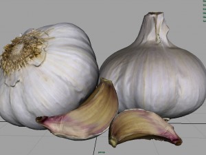 garlic and garlic clove Modèle 3D