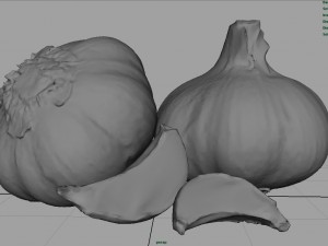 garlic and garlic clove Modèle 3D