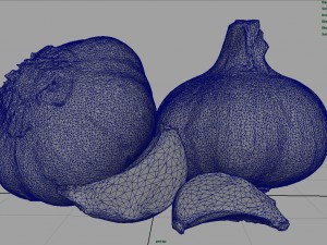 garlic and garlic clove Modèle 3D