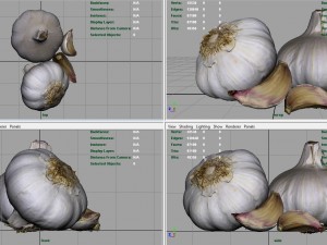garlic and garlic clove Modèle 3D