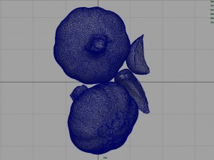 garlic and garlic clove Modèle 3D