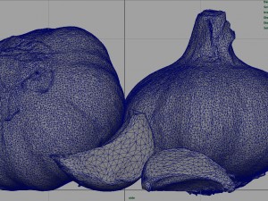 garlic and garlic clove Modèle 3D