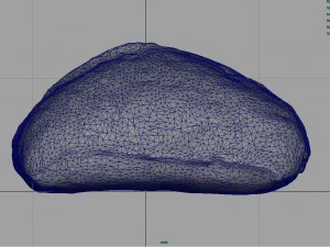 bread 3 3D Model