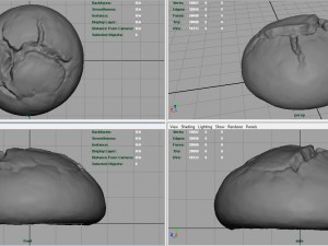 bread 4 3D 模型