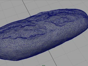 ekmek 5 3D Model