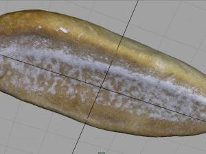 ekmek 5 3D Model
