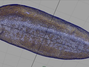 bread 5 Model 3D
