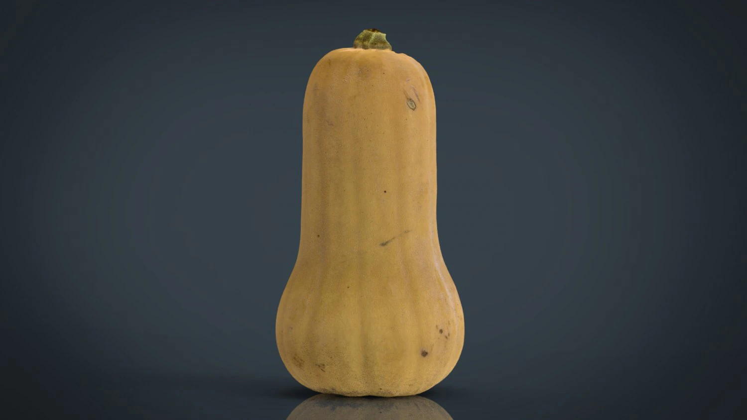 pumpkin 3D Model .c4d .max .obj .3ds .fbx .stl .blend 