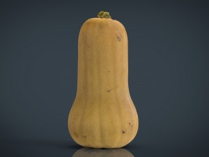 pumpkin 3D Модель