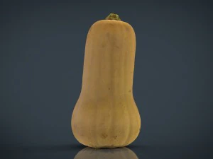 pumpkin 3D Model