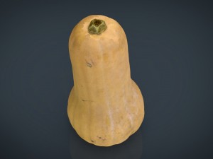 pumpkin Modèle 3D