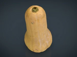 pumpkin 3D Model