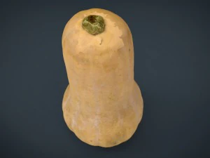 pumpkin 3D Model