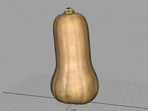 pumpkin 3D Model