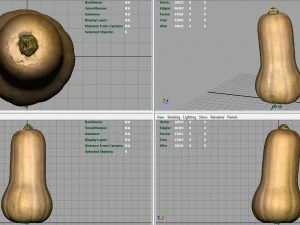 pumpkin 3D Model