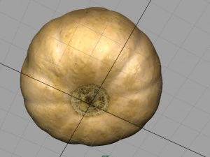 pumpkin 3D Model