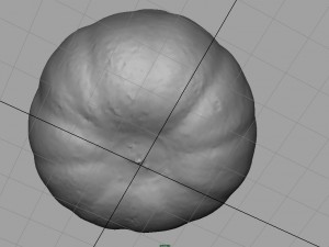 pumpkin Modèle 3D