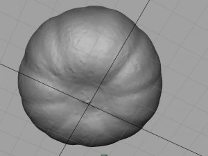 pumpkin 3D Model