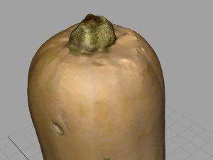 pumpkin 3D Model