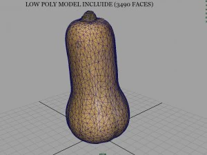 pumpkin 3D Model