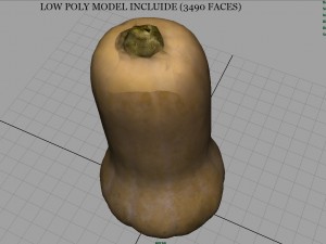 pumpkin Modèle 3D