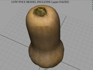 pumpkin 3D Model