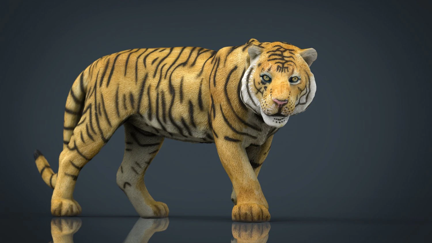 tiger 3D Model .c4d .max .obj .3ds .fbx .stl .blend 