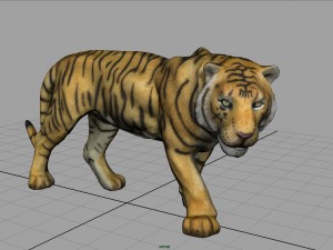 tiger Modelo 3D
