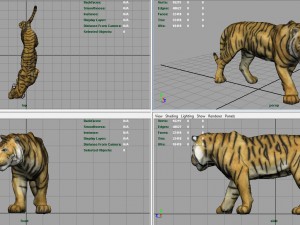 tiger Modelo 3D