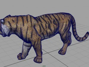 tiger 3D Model