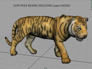 tiger Modelo 3D