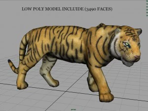 tiger 3D Model