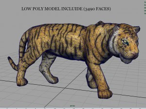 tiger 3D Model