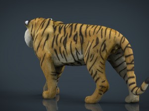 tiger Modelo 3D