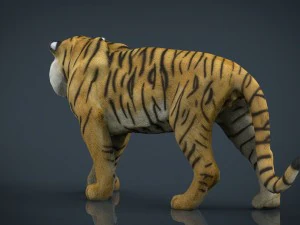 tiger 3D Model