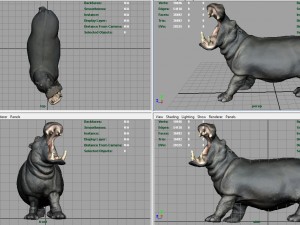 hippopotamus 3D 模型