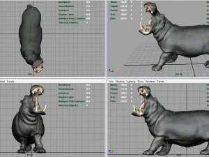 hippopotamus 3D Model