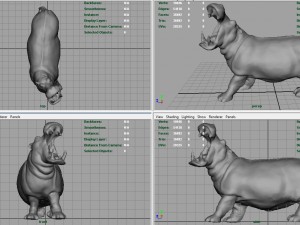 hippopotamus 3D 模型