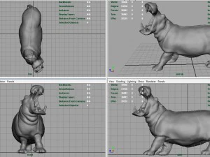hippopotamus 3D Model